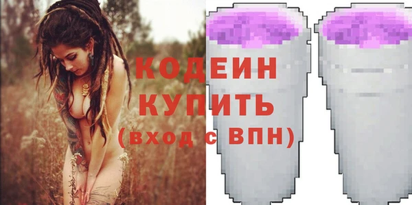 бошки Бородино