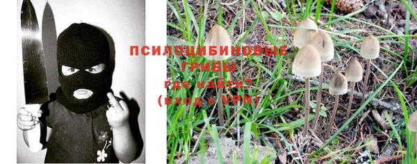 амф Бугульма