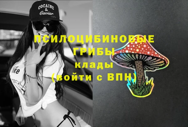амф Бугульма