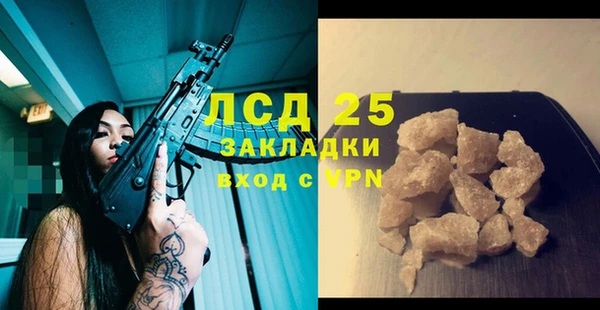 бошки Бородино