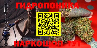 эйфоретик Тара