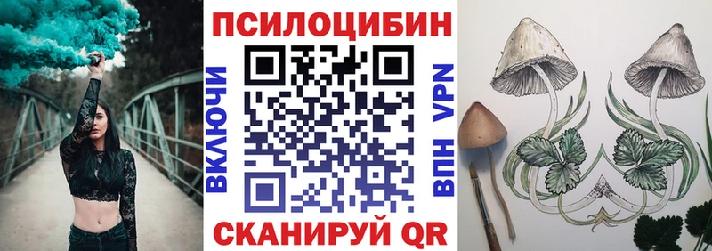 Галлюциногенные грибы MAGIC MUSHROOMS  где купить наркоту  Рузаевка 