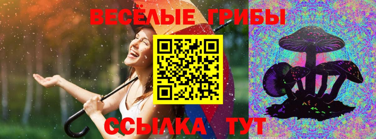 Галлюциногенные грибы Magic Shrooms Рузаевка